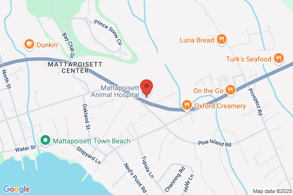 Mattapoisett Animal Hosp