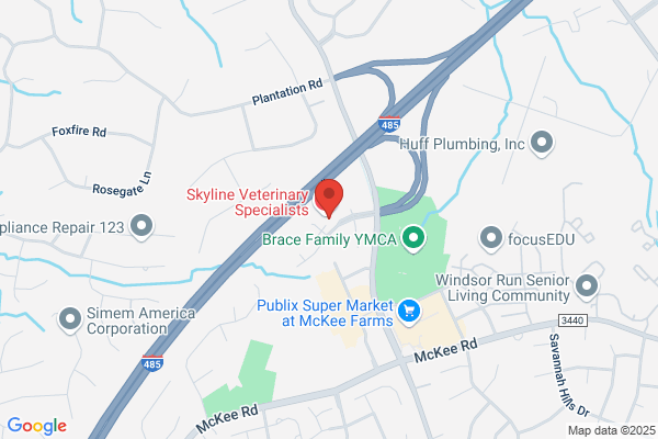 Charlotte Veterinary Surgery Hosptial