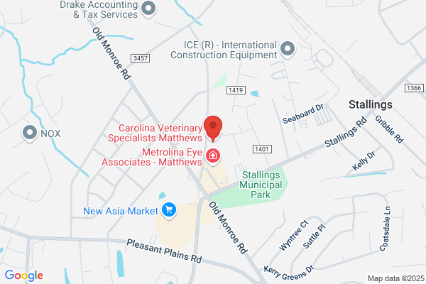 South Ridge Veterinary Services