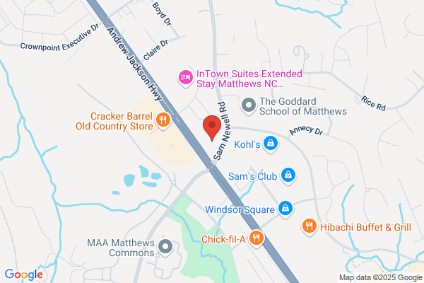 Advance Auto Parts