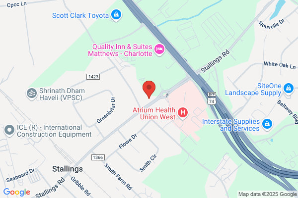 Advance Auto Parts