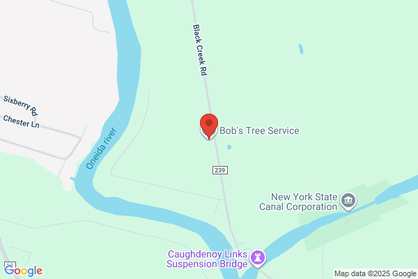 Bob's Tree Service