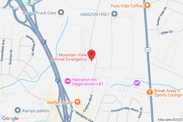 Mountain View Animal Emergency