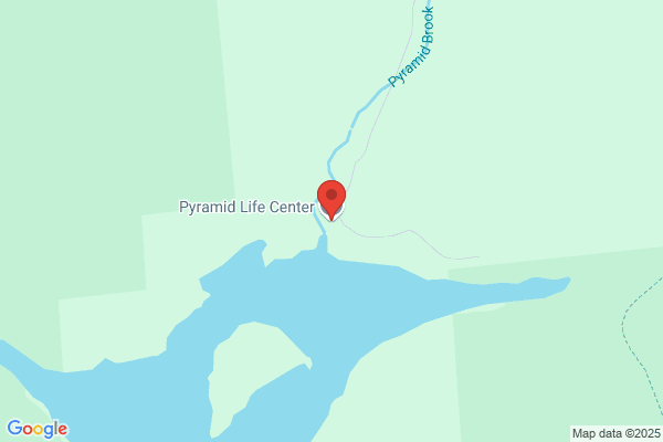 Pyramid Life
