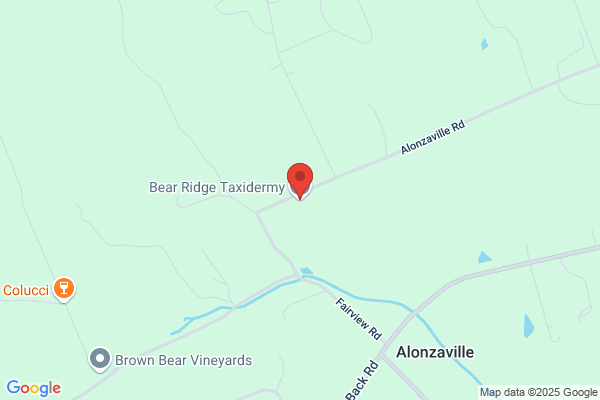 Bear Ridge Taxidermy