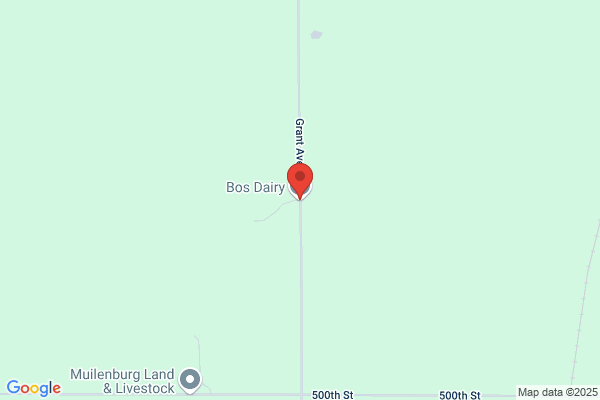 Bos Dairy