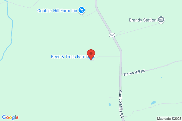 Bee Tree Coal Corporation
