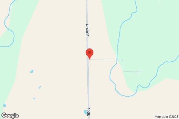 Lost Forty Tree Farm