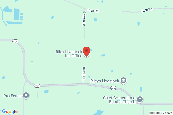 Riley Livestock Shipping Yard