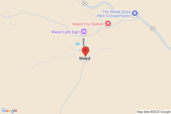 Weed Cafe