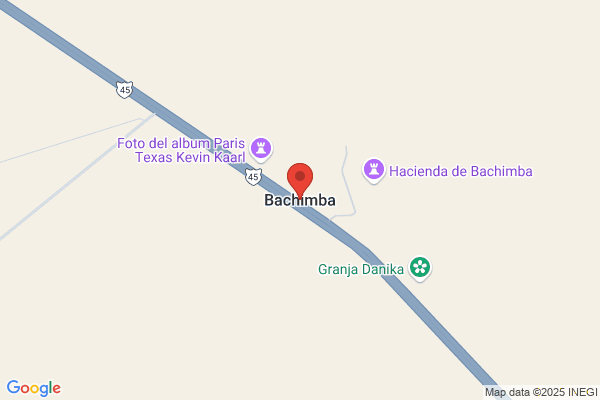 Bachimba