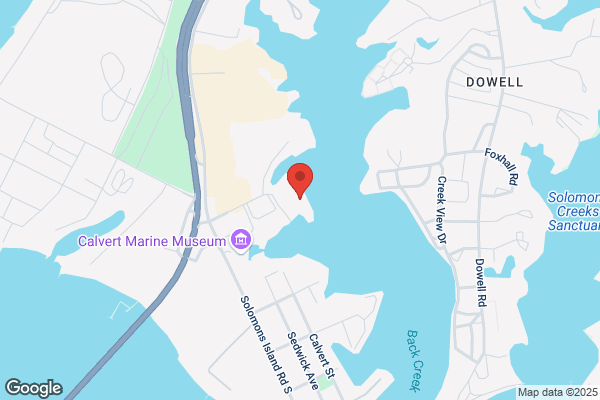 Bay Lady Sportfishing and Charters
