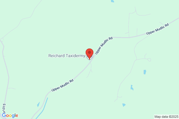 Reichard Taxidermy