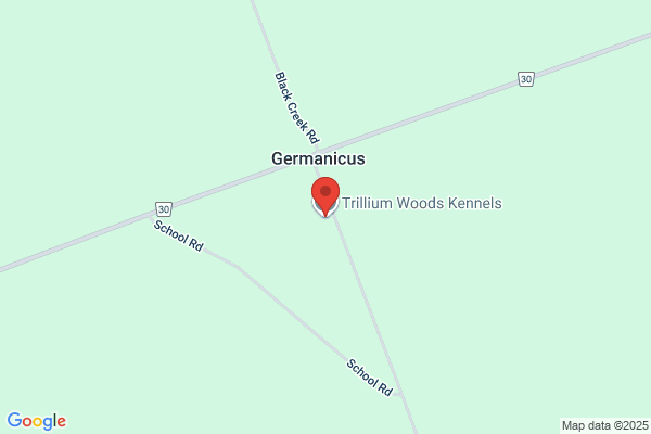 Trillium Kennels