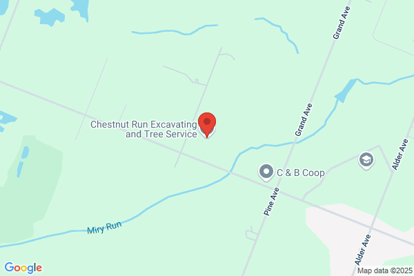 Chestnut Run Tree Service