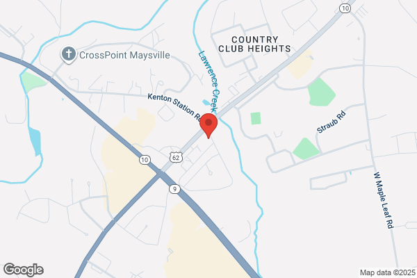Lees Famous Recipe Chicken