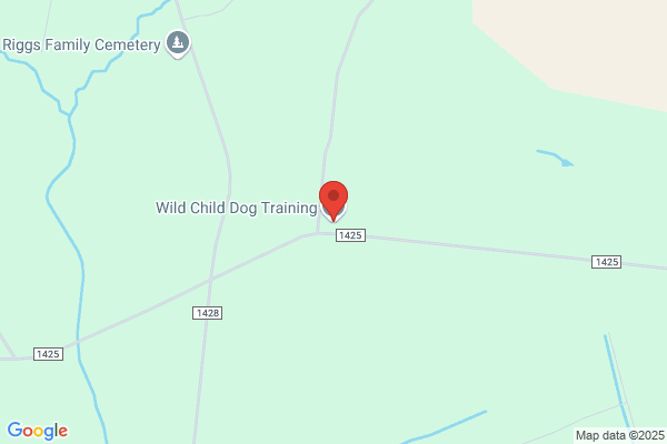 Wild Child Dog Training