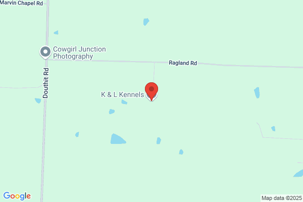 K & L Kennels