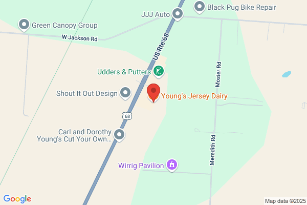Youngs Dairy