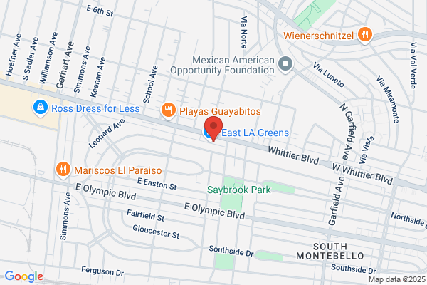 Hispanic American Insurance