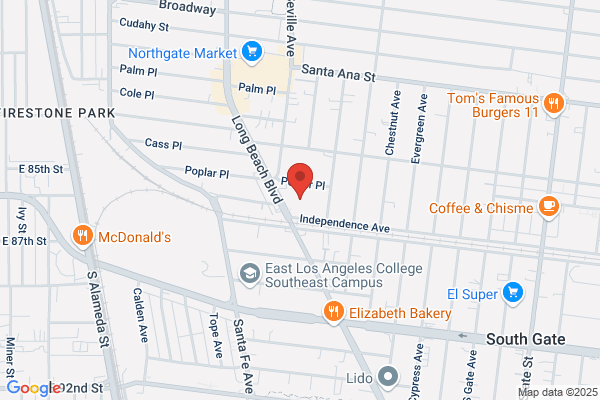 Venus Pizza Parlor