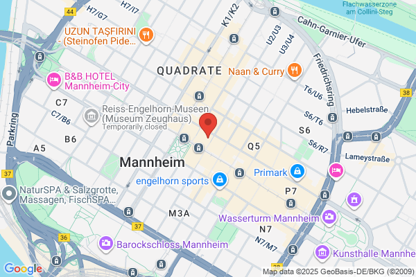 Mannheim Body Inc