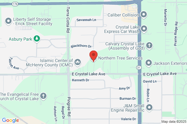 Northern Tree Service