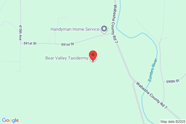 Bear Valley Taxidermy
