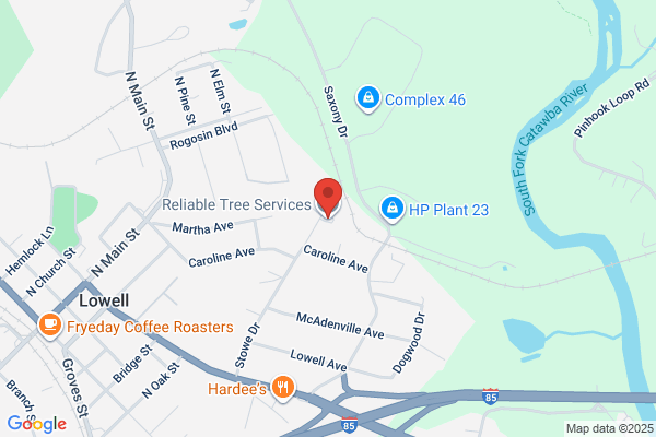 Reliable Tree Service