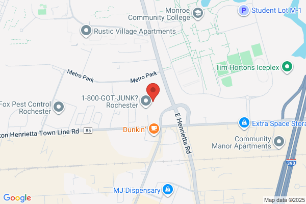Mr Rooter