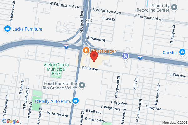 Pest Control in McAllen