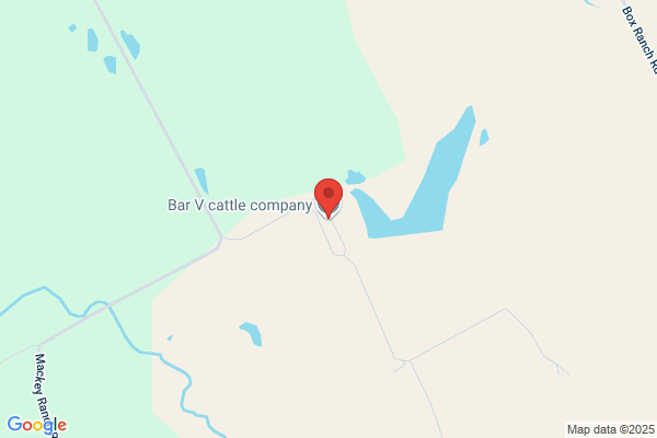 Bar V Cattle Company