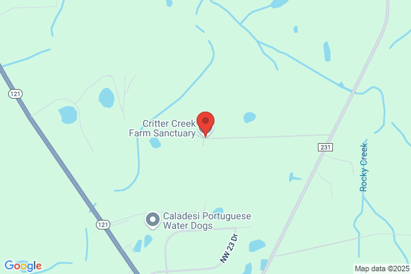 Critter Creek Farm