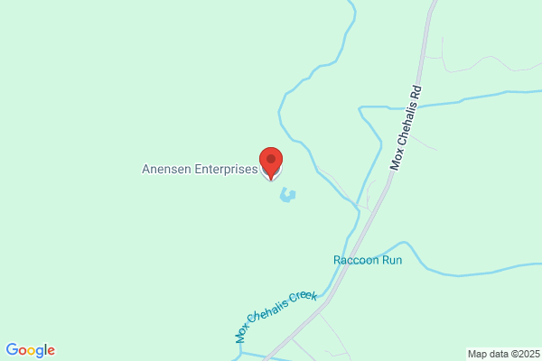 Anensen Enterprises