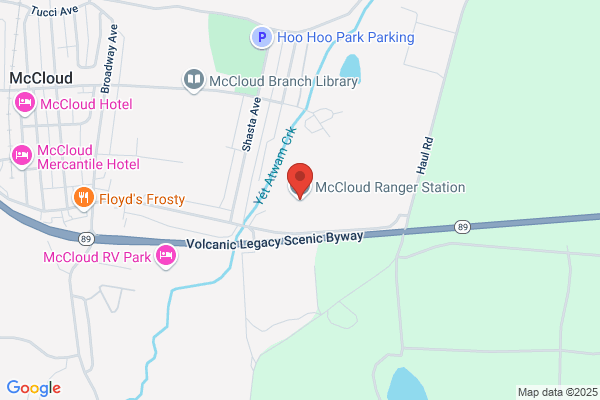Forest Systems Inc