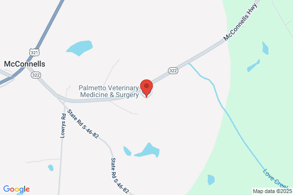Palmetto Veterinary Medicine & Surgery
