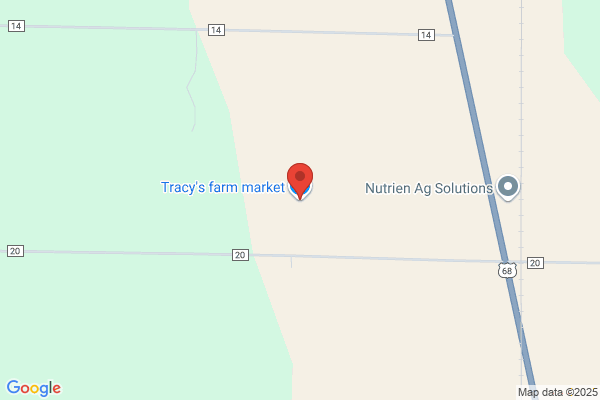 Tracy's Country Market