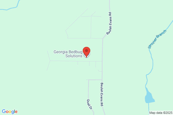 Georgia Bedbug Solutions