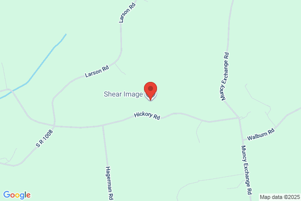 Shear Image