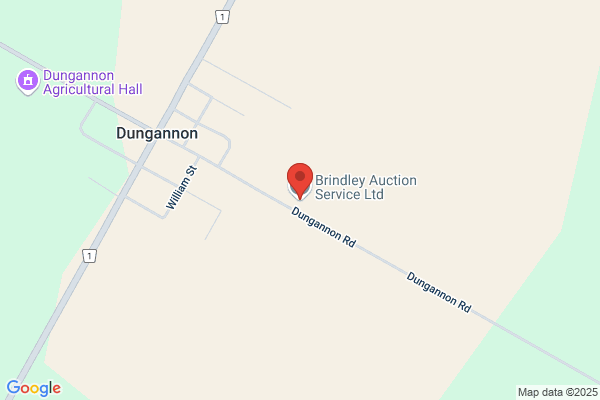 Brizendine Auction Service