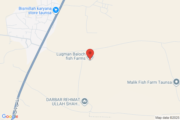 Luqman Baloch, MD