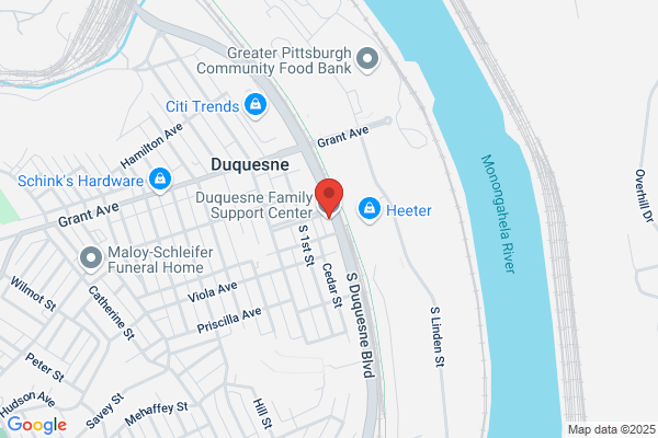 Duquesne Community Mobilization, Project