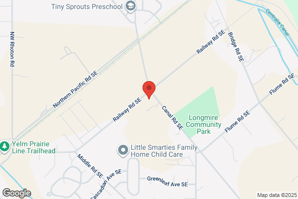 T & P Automotive Services