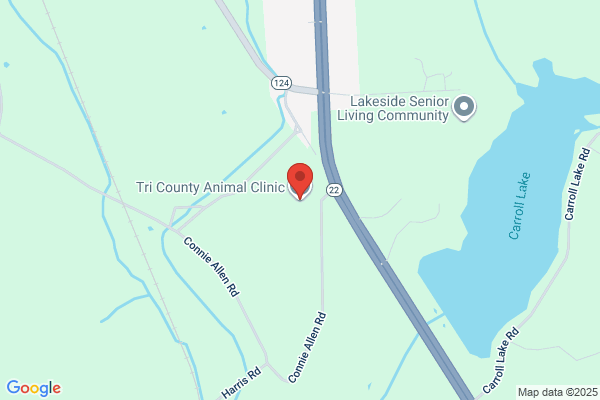 McKenzie Veterinary Clinic