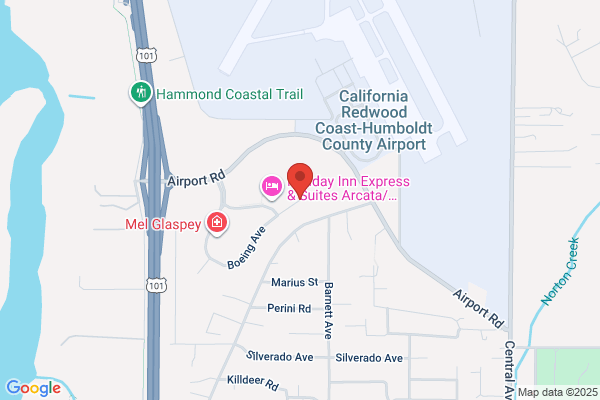 Avis Car Rental