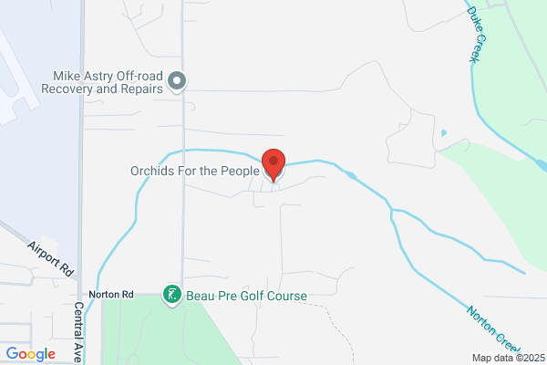 Orchids For the People