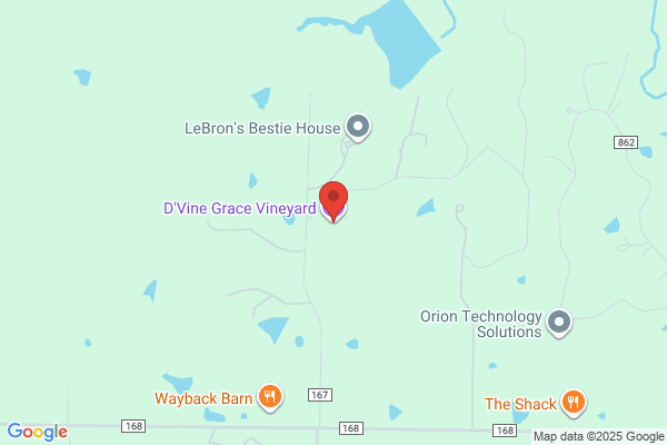 D'Vine Grace Vineyard