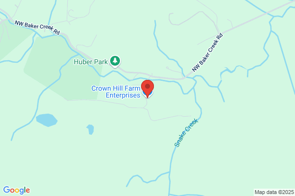 Chimney Cleaners Northwest