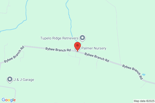 Palmer Nursery