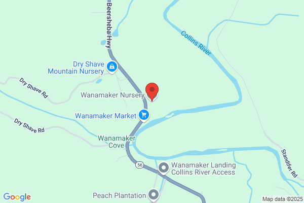 Wanamaker Nursery Inc
